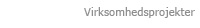 Virksomhedsprojekter